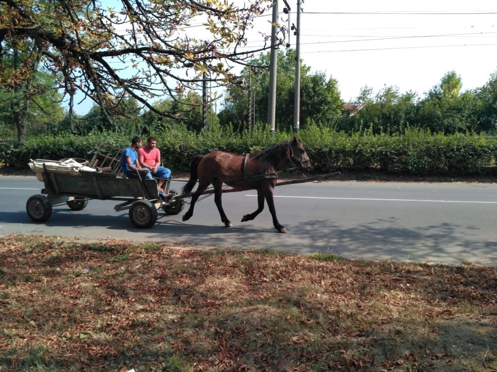 koňské spřežení na Ukrajině